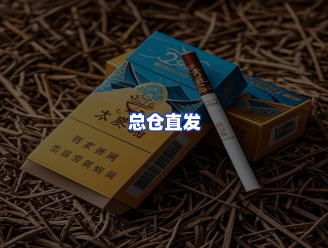 专业团队